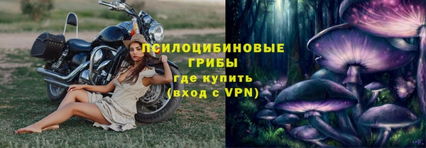 СК Володарск