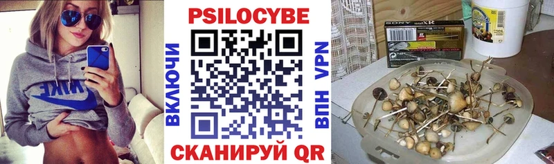 Купить закладки  Устюжна  Галлюциногенные грибы Psilocybine cubensis 